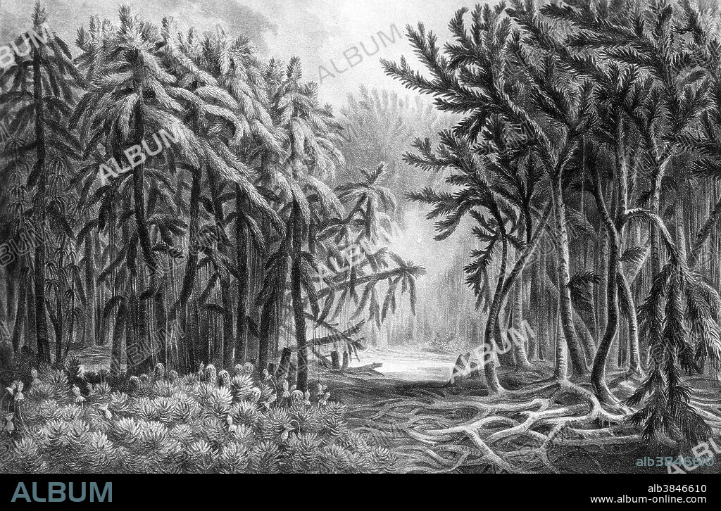 Devonian landscape. The fourth period of the Paleozoic Era, encompassing an interval of geologic time between 418 and 362 million years before present based on radiometric data. The Devonian System encompasses all rocks deposited or formed during the Devonian Period. The Devonian is customarily divided into Lower, Middle, and Upper series and their corresponding epochs. The great diversification of fish in the Devonian has led to the term "Age of Fishes" for the period. The first ray-finned and lobe-finned bony fish appeared, while the placoderms began dominating almost every known aquatic environment. In the oceans, primitive sharks became more numerous than in the Silurian and the late Ordovician. The first ammonite mollusks appeared. Trilobites, the mollusk-like brachiopods and the great coral reefs, were still common. The Late Devonian extinction which started about 375 million years ago, severely affected marine life, killing off all placoderms, and all trilobites, save for a few species of the order Proetida. Illustration originally captioned: Devonian landscape by Franz Unger, 1916.