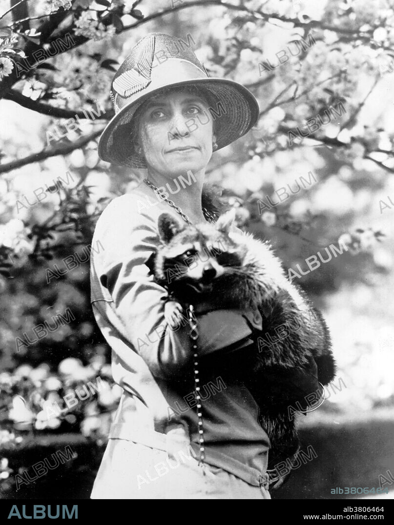 Mrs. Calvin Coolidge holding her pet raccoon Rebecca. Grace Anna Goodhue Coolidge (January 3, 1879 - July 8, 1957) was First Lady from 1923-29. She graduated from the University of Vermont in 1902 and then joined the faculty of the Clarke School for the Deaf in Northampton, Massachusetts, as a lip reading instructor. She married Calvin Coolidge in 1905. She took her part in town activities, attended her church, and offset his shyness with a cheery friendliness. As First Lady, she was a popular hostess. The Coolidges were a particularly devoted couple, although the president never discussed state matters with her. Coolidge summed up his marriage to Grace in his autobiography: "For almost a quarter of a century she has borne with my infirmities, and I have rejoiced in her graces." After her husband's death, she continued her work on behalf of the deaf. She was also active in the Red Cross, civil defense, and scrap drives during WWII. She kept her sense of fun and her aversion to publicity until her death in 1957 at the age of 78.. National Photo Company, circa 1921-23.