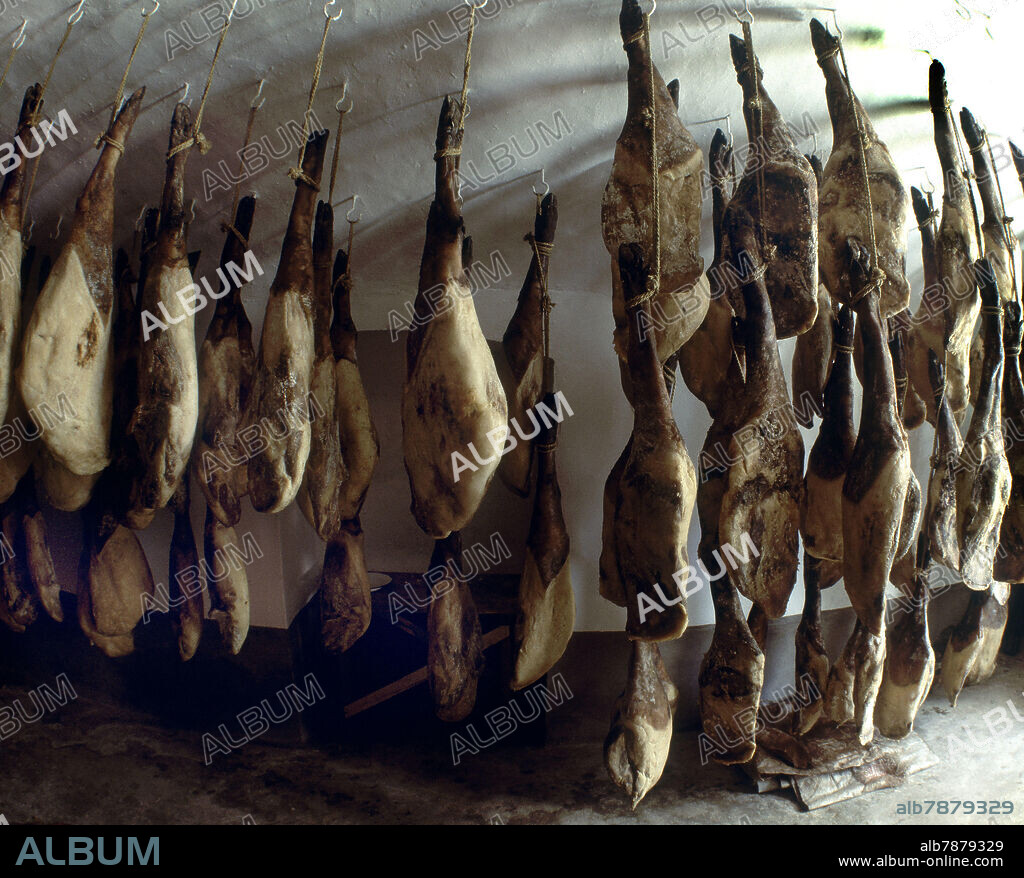 CURADERO DE JAMONES.