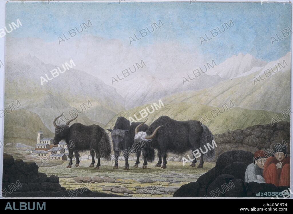 HYDER YOUNG HEARSEY. A view of Badrinath. 1808. A view of Badrinath; snow-covered mountain in the background, three yaks and two boys in the foreground. Garwhal (U.P). Watercolour.  Originally published/produced in 1808. . Source: WD 347,.