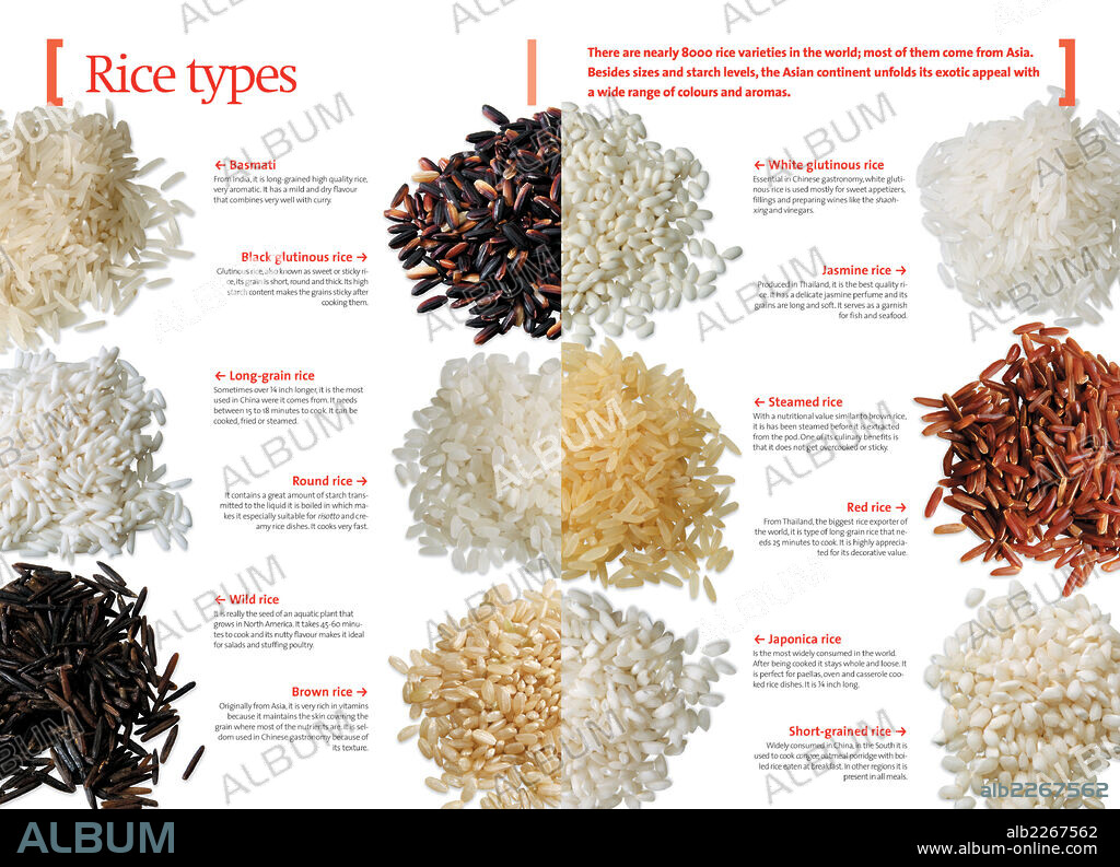 Rice types. Infographics about the different varieties of rice used in Chinese cuisine.