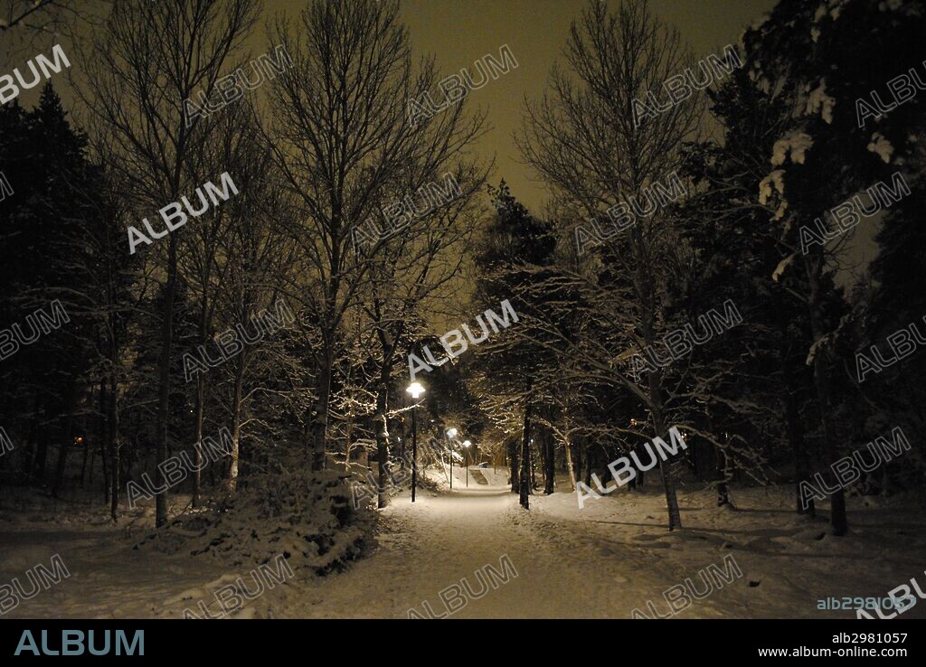 Vista nocturna de un parque nevado. Estocolmo. Suecia.