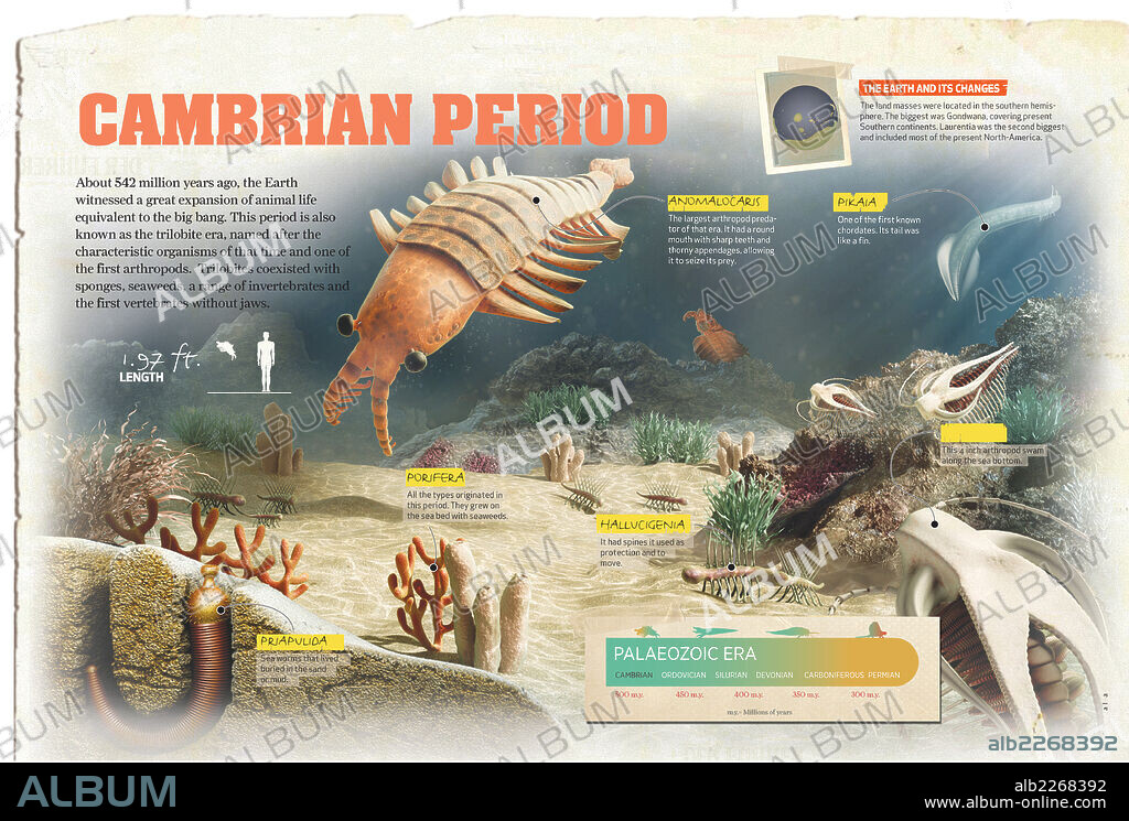 Cambrian Period. Infographics on the Cambrian period of the Palaeozoic era, when animal life spread across the Earth.