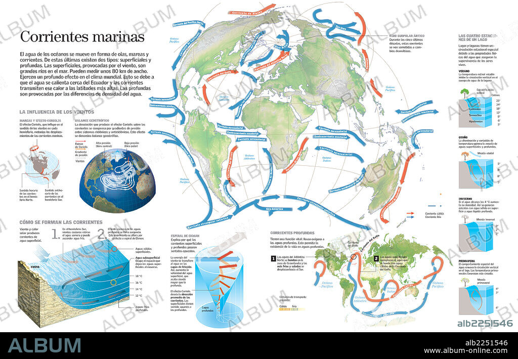 corrientes marinas. Infografía de las distintas corrientes marinas del planeta Tierra y su efecto en el clima mundial.
