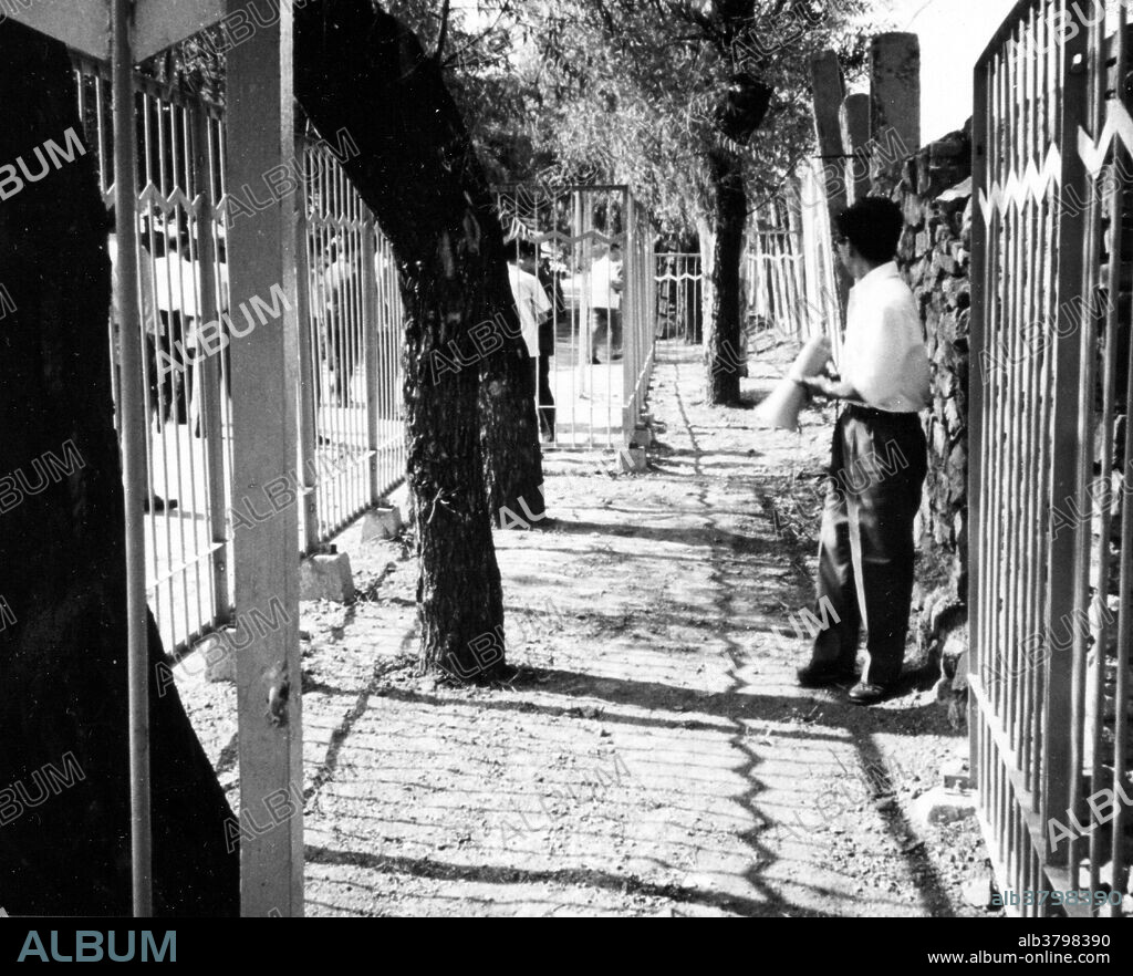 Tangshan, China, Earthquake July 27 UTC (local time July 28), 1976.  Row of trees along the Jixiang Road offset 5 feet by right slip on the fault. Because of the scientific significance, the site is now protected by an iron fence built by the Hebei Provincial Seismological Bureau. This earthquake occurred in the northeastern part of China, near the coast. The epicenter was centered about 140 kilometers southeast of Beijing, in the vicinity of Tangshan. The first earthquake, magnitude 7.5, was followed by a major aftershock 15 hours later. According to official sources, the two earthquakes killed 242,769 people, although some estimates of the death toll are as high as 655,000. Over 799,000 people were injured. Aftershocks in the 5.0-5.5 range continued after the main shock. Damage extended as far as Beijing.