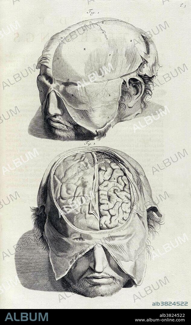 Table 5. Anatomia humani corporis by Govard Bidloo comprises 105 engraved plates of anatomical drawings by Gerard de Lairesse. With a few exceptions, these are not idealized or diagrammatic representations of the human body, as was typical in early atlases of human anatomy. They are naturalistic drawings of actual cadavers, remarkable for their sensuous portrayal of their subjects. When sales of Bidloo's Anatomia began to flag, the publisher sold the plates to an English surgeon, William Cowper, who rewrote the text in English, replaced Bidloo's name on the title page with his own, and published the book under the title The anatomy of humane bodies in 1698. An international squabble ensued, but Bidloo's claim was never vindicated. The illustrations in Bidloos' work were drawn by GÃ©rard de Lairesse and engraved by Abraham Blooteling and Peter van Gunst.