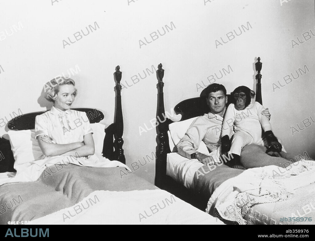 RONALD REAGAN dans BEDTIME FOR BONZO, 1951, réalisé par FREDERICK DE CORDOVA. Copyright UNIVERSAL PICTURES.