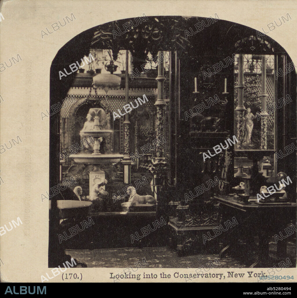 Looking into the Conservatory, New York., 1860?-1925, New York (State), New York (N.Y.), New York, Manhattan (New York, N.Y.).
