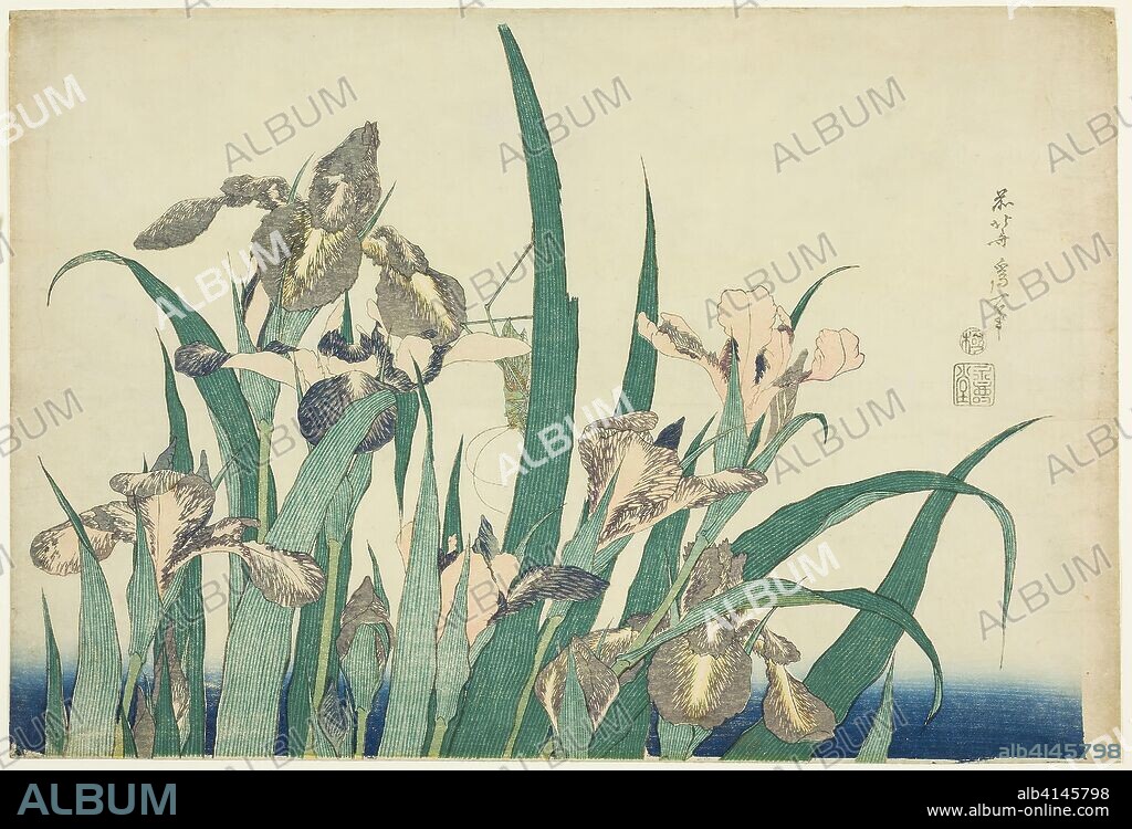 Iris and Grasshopper, from an untitled series of large flowers. Katsushika Hokusai ?? ??; Japanese, 1760-1849. Date: 1827-1839. Dimensions: 26.6 x 39.3 cm (10 1/4 x 15 1/2 in.). Color woodblock print; oban. Origin: Japan.