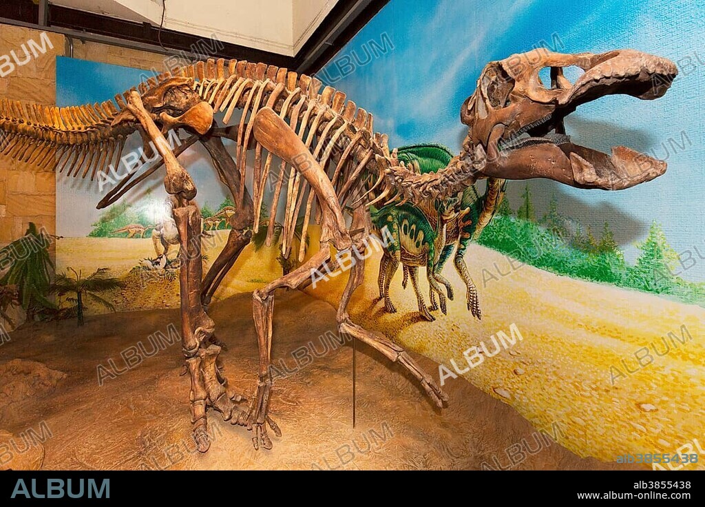 Skeleton of a Dinosaur, Sirindhorn Dinosaur Museum, Non Buri, Sahatsakhan district, Kalasin province, Isan, Thailand