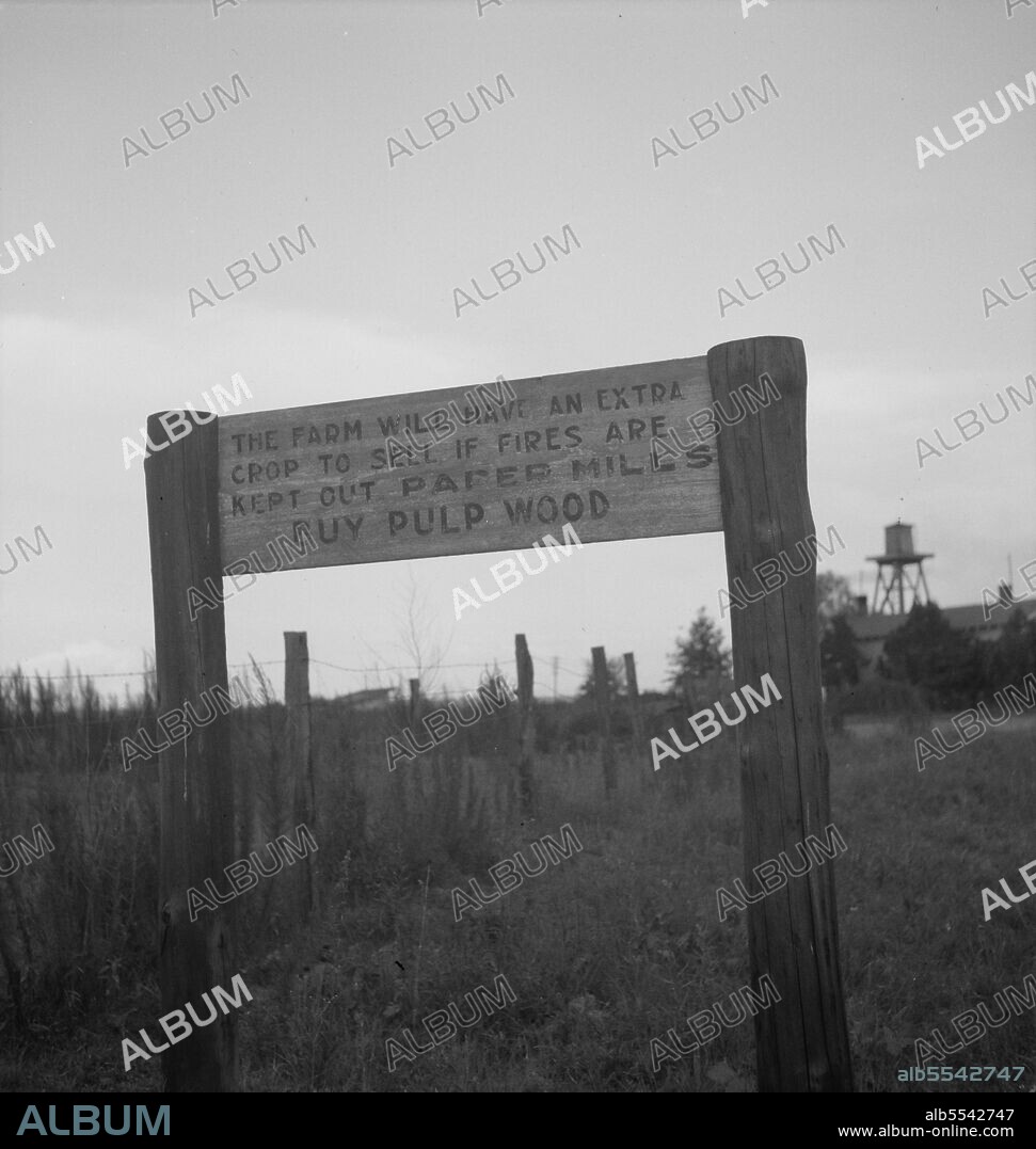 DOROTHEA LANGE. Roadsign near Fullerton, Louisiana. ['The farm will have an extra crop to sell if fires are kept out of paper mills. Buy pulp wood'].