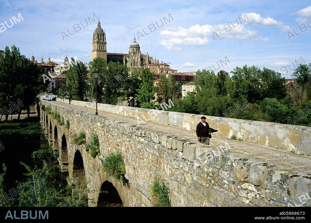 puente romano sobre el río Tormes y Catedral.
