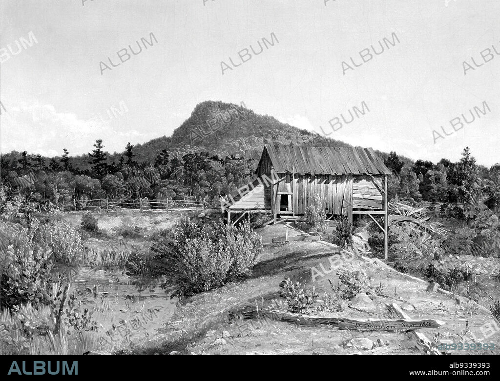 Old Mill, West Milford, New Jersey, David Johnson, American, 1827-1908, Oil on canvas, 1850, 17 x 22 15/16 in., 43.2 x 58.3 cm, 1850, American Painting, bucolic, countryside, David Johnson, foliage, hill, house, Hudson River School, idyll, landscape, lonesome, mill, mountain, Nature, New Jersey, oil, oil on canvas, outdoors, painting, pastoral, plants, plein-air, quiet, Romanticism, solemn, trees.