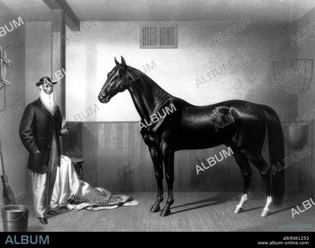 William Rysdyk's Hambletonian 1865, Father of the Trotting Horse. His employer, Seeley, acquired a Charles Kent Mare, which had been permanently injured and was used only for breeding. Sired by Bellfounder, she was of Norfolk Trotter ancestry, a breed noted for its smooth gait. Seeley bred his mare to Abdullah, who was a grandson of Messenger, but a mean and ugly horse. The offspring of the Charles Kent Mare and Abdullah was a bay colt who was to be a keystone in the future of harness racing. Rysdyk persuaded his employer to sell him the colt and named him Hambletonian. In all, Hambletonian was bred to some 1,900 mares resulting in 1,331 foals. Forty of these foals trotted the mile in less than 2 minutes 30 seconds. Among Hambletonian's many distinguished heirs were Dexter, Happy Medium, George Wilkes, Dictator, and Electioneer. The blood of Hambletonian is in most of today's distinguished trotters and pacers. The History of Horse Racing by Roger Longrigg, page 236.