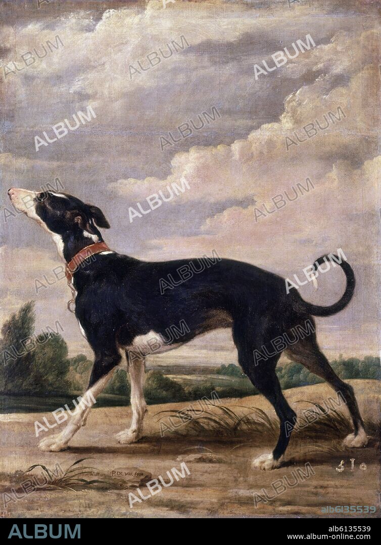 PAUL DE VOS (1596/1678). UN GALGO EN ACECHO - SIGLO XVII - BARROCO FLAMENCO - OLEO/LIENZO - 212x347 cm - NP 1871.