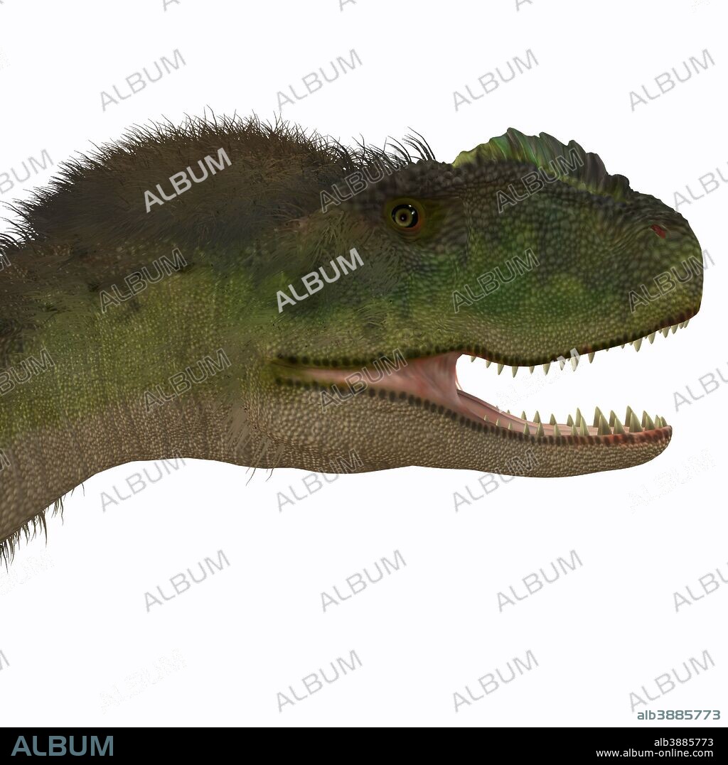 Rugops was a carnivorous theropod dinosaur that lived during the Cretaceous Period of Africa.