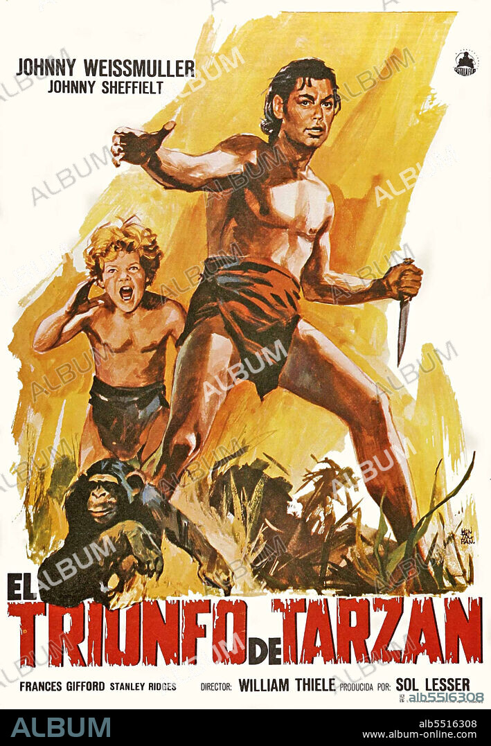 JOHNNY WEISSMULLER in TARZAN TRIUMPHS, 1943, directed by WILHELM THIELE. Copyright RKO.
