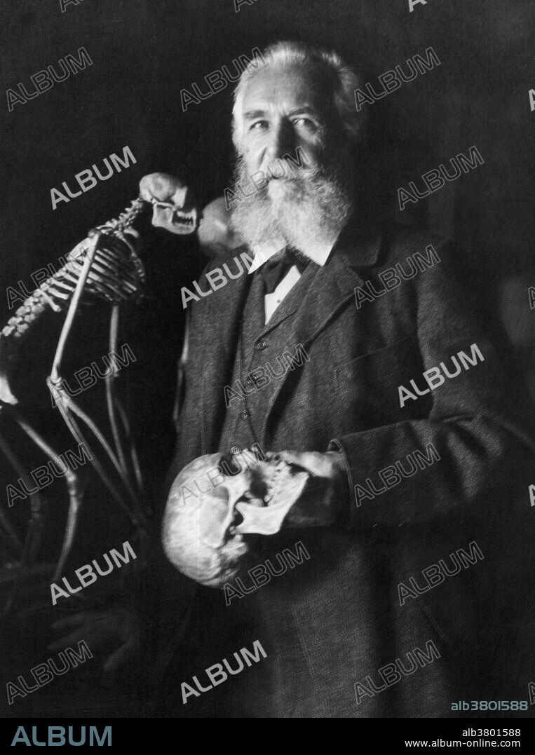 The German naturalist Ernst Haeckel (1834 - 1919) in 1906. Photograph by Nicola Perscheid. Ernst Heinrich Philipp August Haeckel (1834-1919) was an eminent German biologist, naturalist, philosopher, physician, professor and artist who discovered, described and named thousands of new species, mapped a genealogical tree relating all life forms, and coined many terms in biology, including anthropogeny, ecology, phylum, phylogeny, and the kingdom Protista. Haeckel promoted and popularized Charles Darwin's work in Germany.
