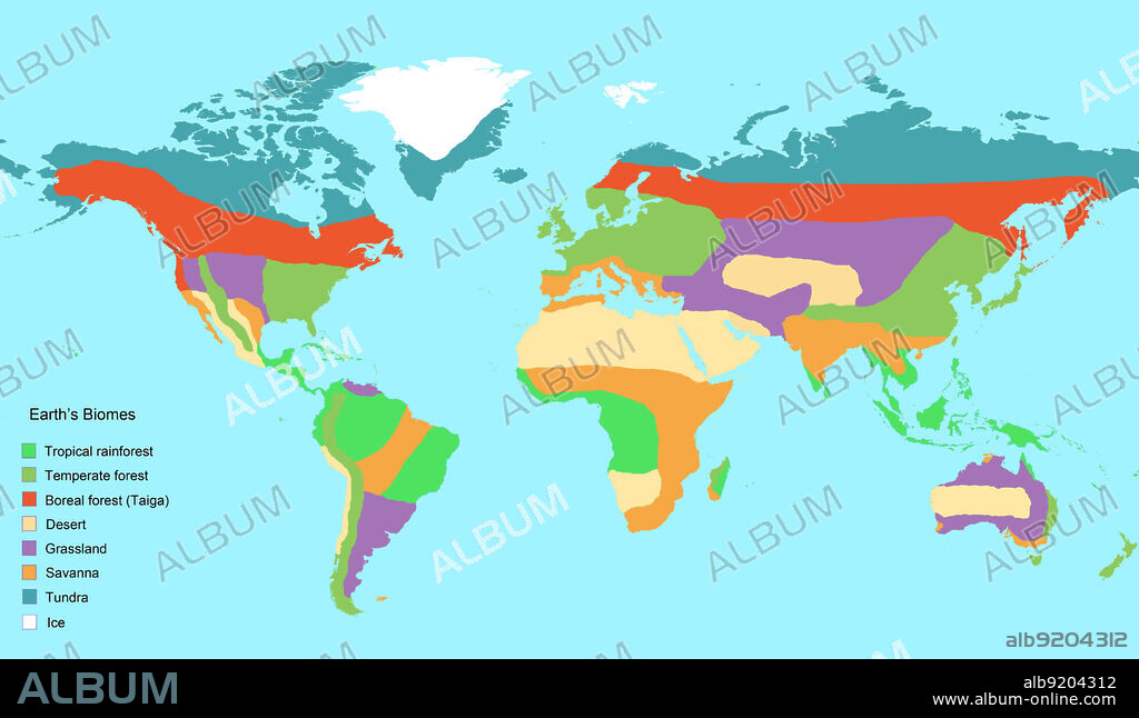 Map of Earth's major global biomes, including tropical rainforest, temperate forest, boreal forest (taiga), desert, grassland, savanna, tundra, and ice. Terrestrial biomes (also called ecosystems) are geographic land areas with similar climatic conditions, often characterized by the plants and animals found there. Eight biomes are shown here, though more complex classifications subdivide these biomes even further.