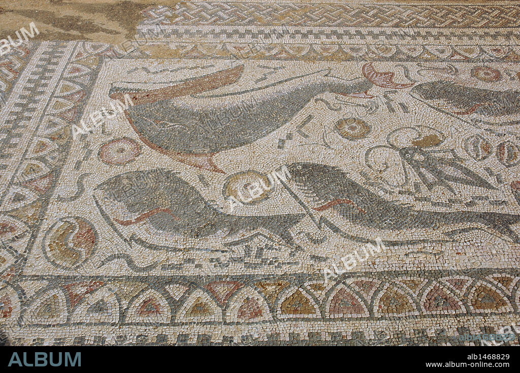 ARTE ROMANO. PORTUGAL. VILLA ROMANA DE MILREU. Explotación agraria del S. I reconvertida en lujosa villa dos siglos después. Conocida como Ossonoba por los romanos entre los S. III al VI. Detalle de un mosaico. Estoi, alrededores de Faro. El Algarve.