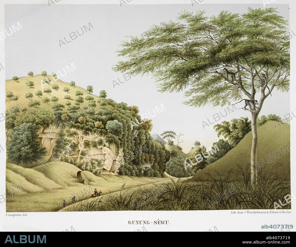 FRANZ WILHELM JUNGHUHN. Gunung Sewu (Thousand mountains) is the name for the karst region of southern central Java.  . Java Album. Leipzig, 1856. Colour illustration showing a possible explorer with guides. Monkeys can be seen in a tree. Source: 1781.a.21, plate 4. Language: German.