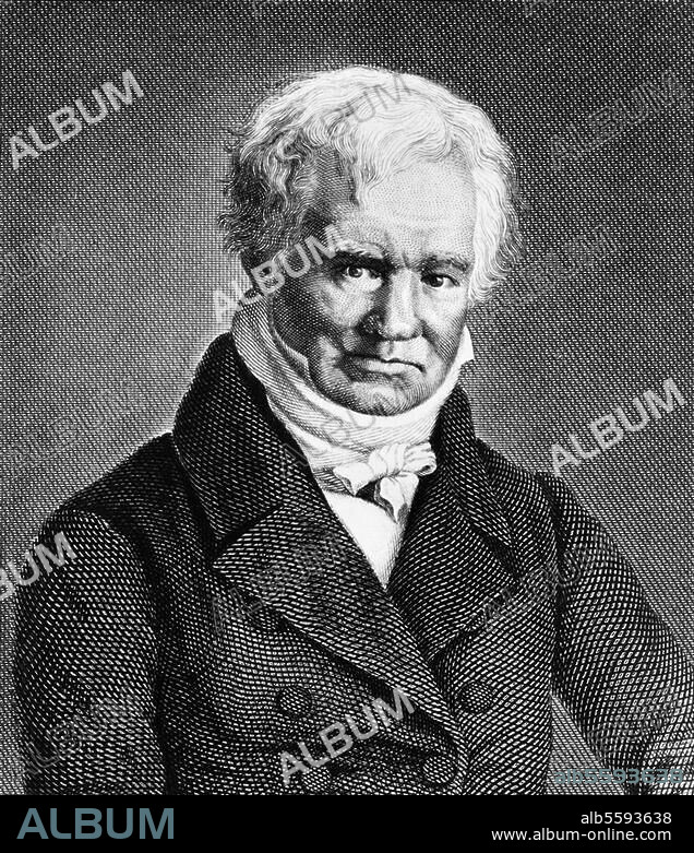 Humboldt, Alexander Freiherr von Naturforscher und Geograph Berlin 14.9.1769 - ebd. 6.5.1859. - Portrait - Stahlstich von Nordheim, 1847.