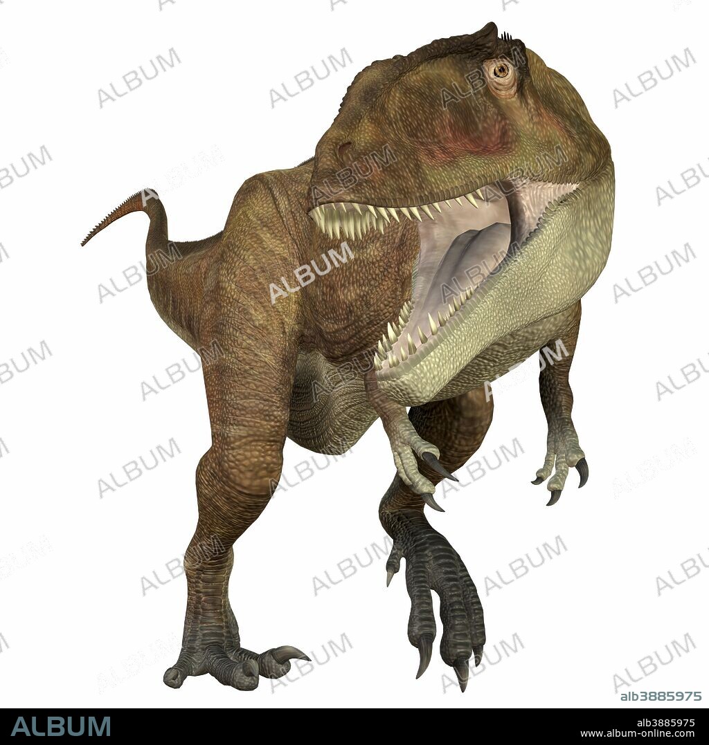 Carcharodontosaurus was a carnivorous theropod dinosaur that lived in Sahara, Africa during the Cretaceous Period.
