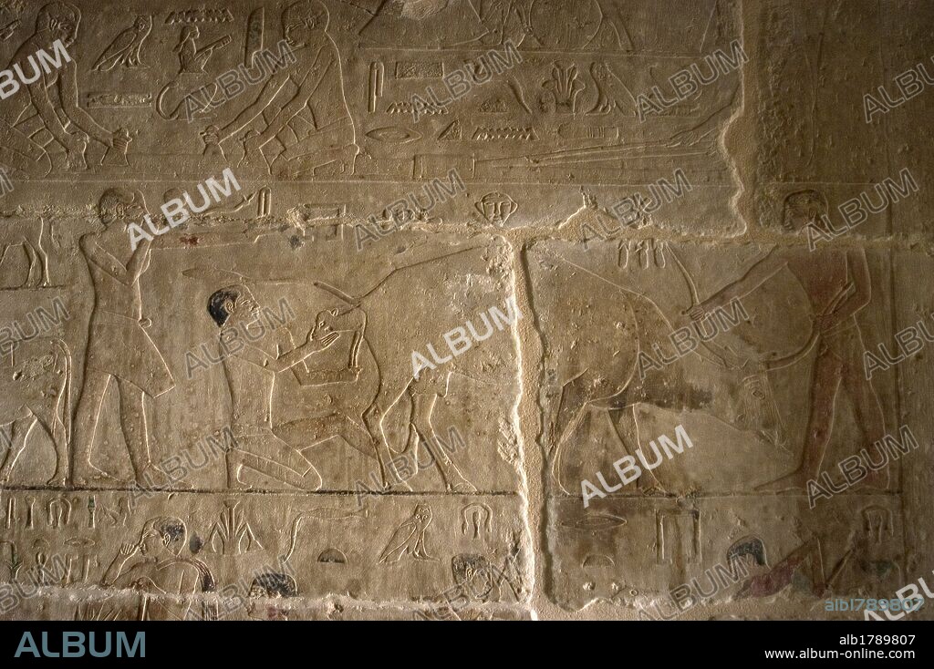 ARTE EGIPCIO. EGIPTO. TUMBA DE NEFER Y KA-HAY. Perteneciente a la V Dinastía. Fué construida por Nefer para su familia. De una única sala, y con un total de nueve tumbas. Dos pastores asisten al parto de un buey. IMPERIO ANTIGUO. NECROPOLIS DE SAKKARA. Egipto.