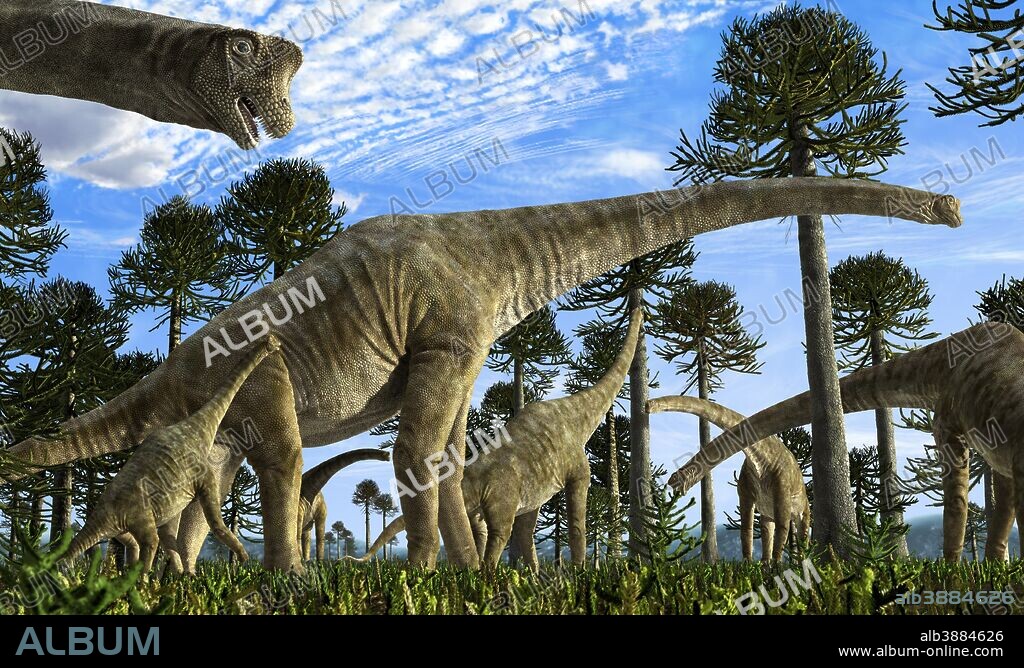 Giraffatitan brancai, a sauropod dinosaur that lived in the late Jurassic period. It was originally named as an African species of Brachiosaurus (B. brancai). Giraffatitan is one of the largest animals known to have walked the earth with its 22.5 meters (74 feet).