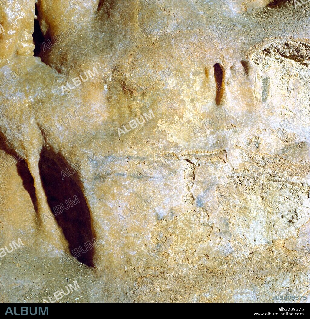 CUEVA DE SANTIMAMIÑE (513). ENTRADA CUEVA, PINTURA: BISONTES, CABALLO, OTROS NO IDENTIFICADOS Y GRABADOS.  VIZCAYA, PAIS VASCO, ESPAÑA.