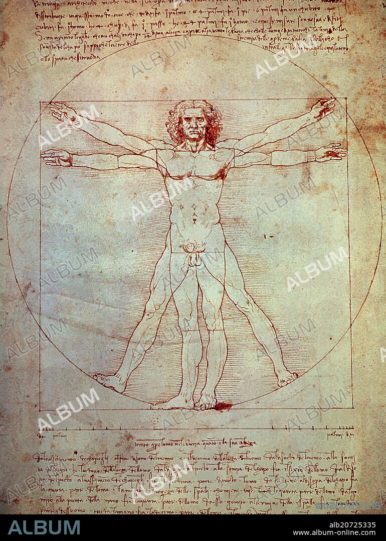 LEONARDO DA VINCI. Human proportions, Vitruvian Man. c.1490. Pen, ink and crayon on paper (34.3 x 25.5 cm). Venice, Galleria dell'Accademia.