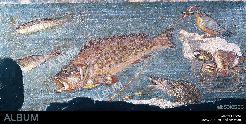Mosaico de los Peces, Opus vermiculatum de mármol de diferentes colores, siglo I a.C., MAC-Empúries.