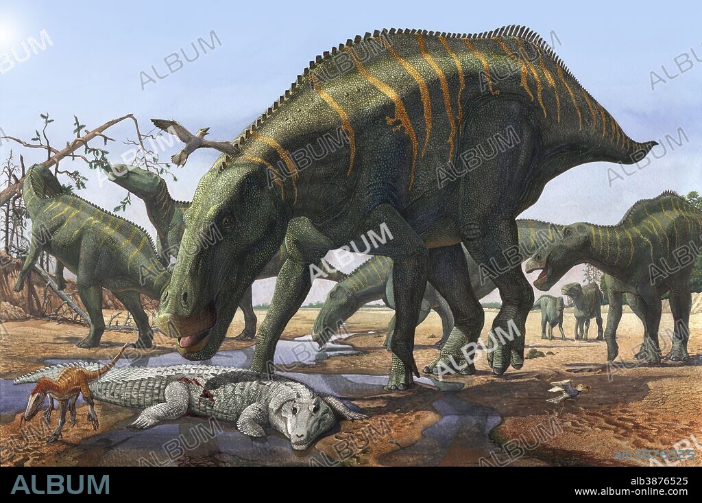 A herd of Shantungosaurus dinosaurs from the Late Cretaceous Period. In dry, hard times, these herbivorous giants picked up everything in its path.