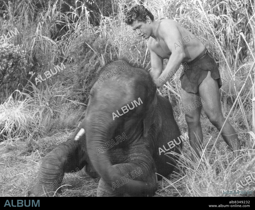 Gordon (Tarzan) Scott helps Tusko, the baby elephant who has been wounded by the evil white hunters in a scene from "Tarzan's Hidden Jungle" produced by Sol Lesser and distributed by RKO Radio. October 14, 1955.