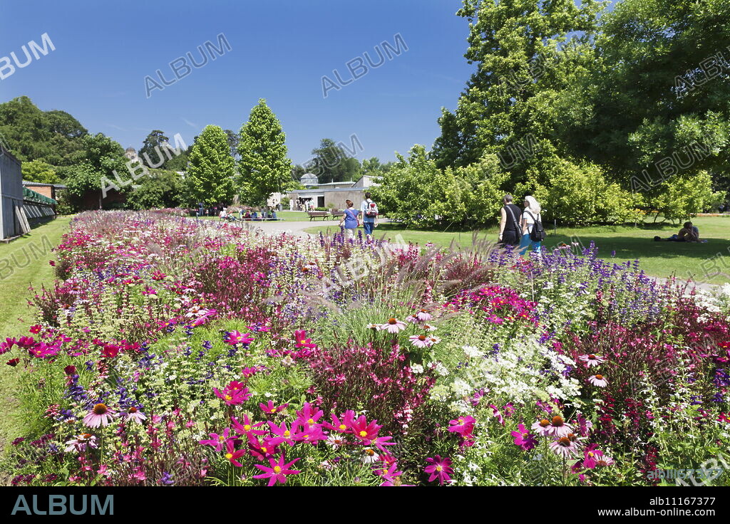 Wilhelma Zoo and Botanical Gardens, Stuttgart, Baden Wurttemberg, Germany, Europe.