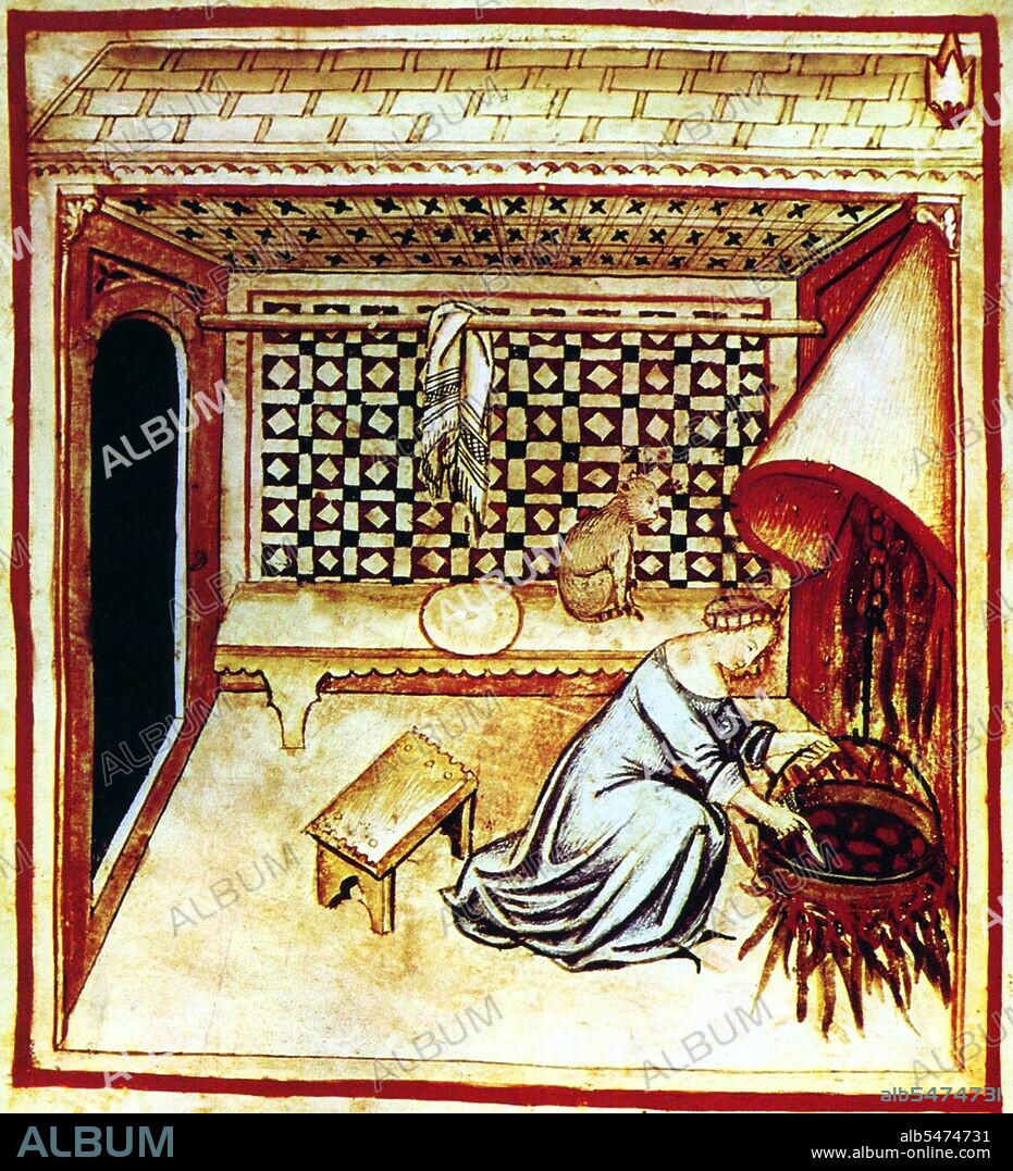 The Tacuinum (sometimes Taccuinum) Sanitatis is a medieval handbook on health and wellbeing, based on the Taqwim al-sihha ????? ????? ('Maintenance of Health'), an eleventh-century Arab medical treatise by Ibn Butlan of Baghdad. Ibn Butlân was a Christian physician born in Baghdad and who died in 1068. He sets forth the six elements necessary to maintain daily health: food and drink, air and the environment, activity and rest, sleep and wakefulness, secretions and excretions of humours, changes or states of mind (happiness, anger, shame, etc). According to Ibn Butlân, illnesses are the result of changes in the balance of some of these elements, therefore he recommended a life in harmony with nature in order to maintain or recover one’s health. Ibn Butlân also teaches us to enjoy each season of the year, the consequences of each type of climate, wind and snow. He points out the importance of spiritual wellbeing and mentions, for example, the benefits of listening to music, dancing or having a pleasant conversation. Aimed at a cultured lay audience, the text exists in several variant Latin versions, the manuscripts of which are characteristically profusely illustrated. The short paragraphs of the treatise were freely translated into Latin in mid-thirteenth-century Palermo or Naples, continuing an Italo-Norman tradition as one of the prime sites for peaceable inter-cultural contact between the Islamic and European worlds. Four handsomely illustrated complete late fourteenth-century manuscripts of the Taccuinum, all produced in Lombardy, survive, in Vienna, Paris, Liège and Rome, as well as scattered illustrations from others, as well as fifteenth-century codices.
