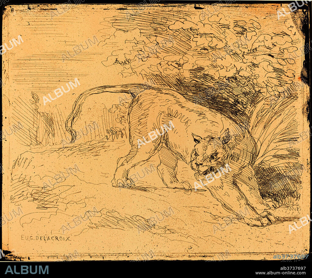 EUGENE DELACROIX. Tigre en arrêt. Dated: 1854. Dimensions: plate: 16.7 x 19.9 cm (6 9/16 x 7 13/16 in.)  sheet: 16.7 x 19.9 cm (6 9/16 x 7 13/16 in.). Medium: clich  verre on wove paper.