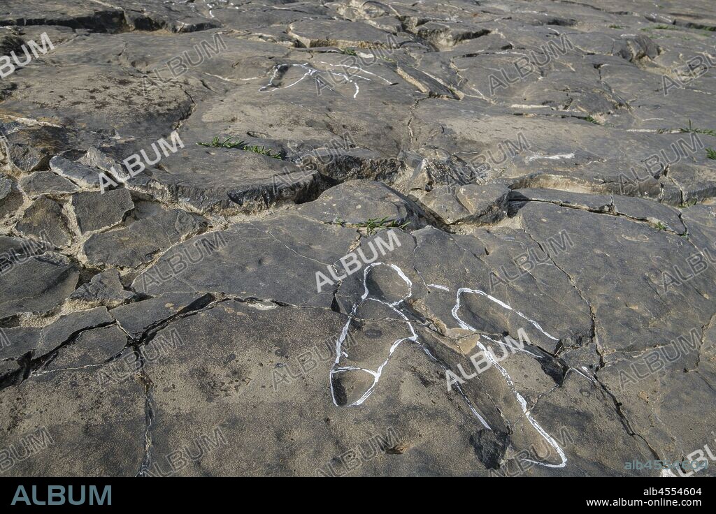huellas de dinosaurio, Yacimiento de icnitas de La era del Peladillo, Igea, La Rioja , Spain, Europe.