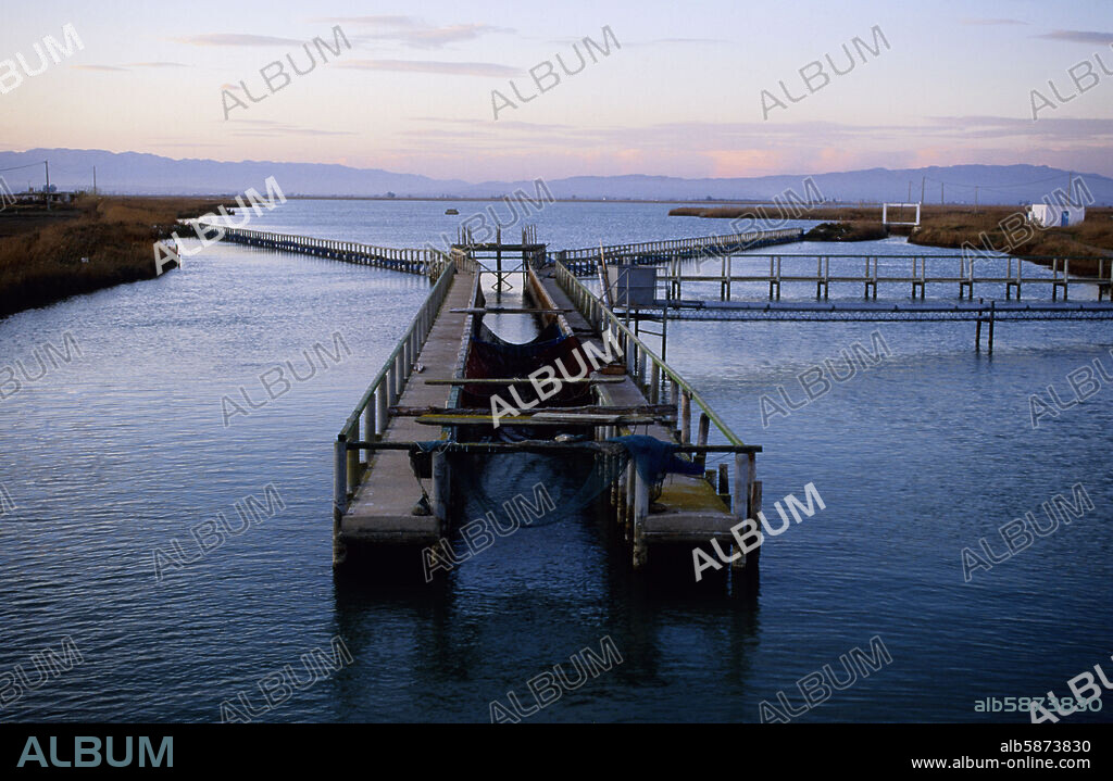 Parque Natural del Delta del Ebro / Ebre; L´Encanyissada (Montsià); pescadero de anguilas.