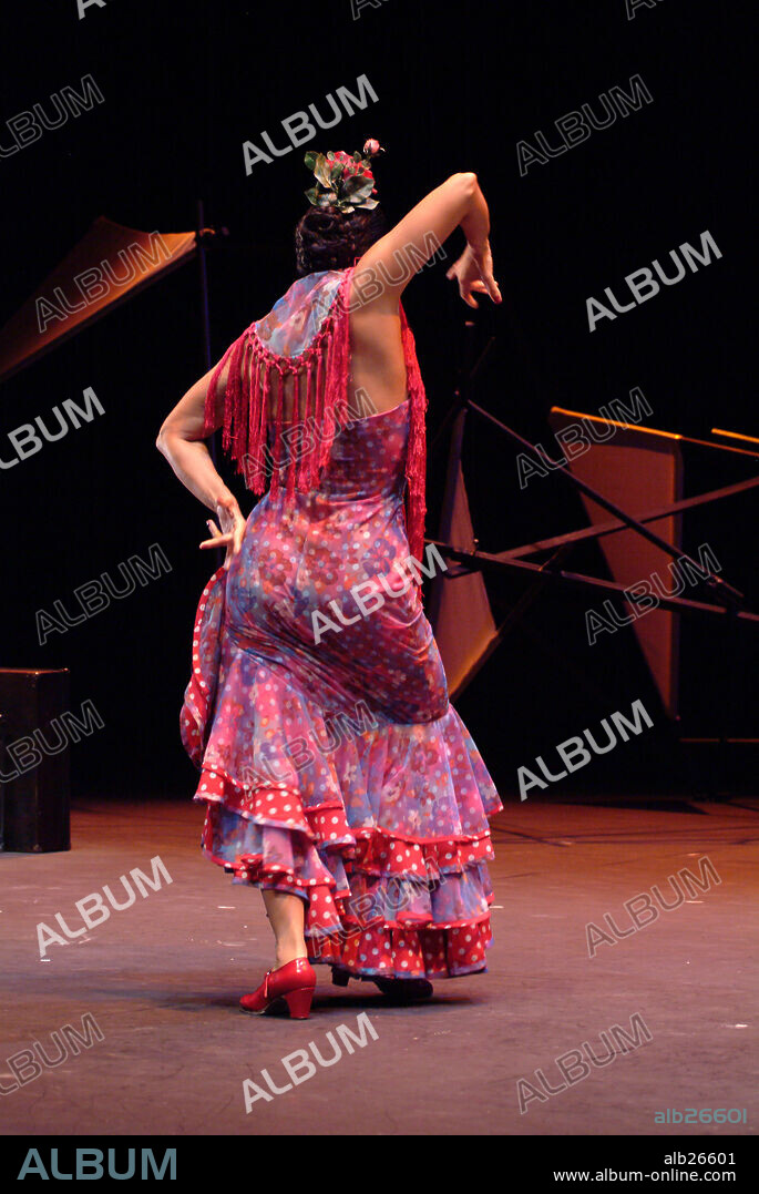 Flamenco dancer performing a flamenco posture.