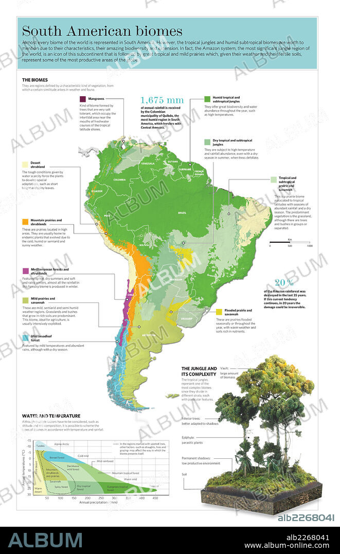 Biomas de América del Sur. Infografía de los distintos biomas de América del Sur y sus principales características.