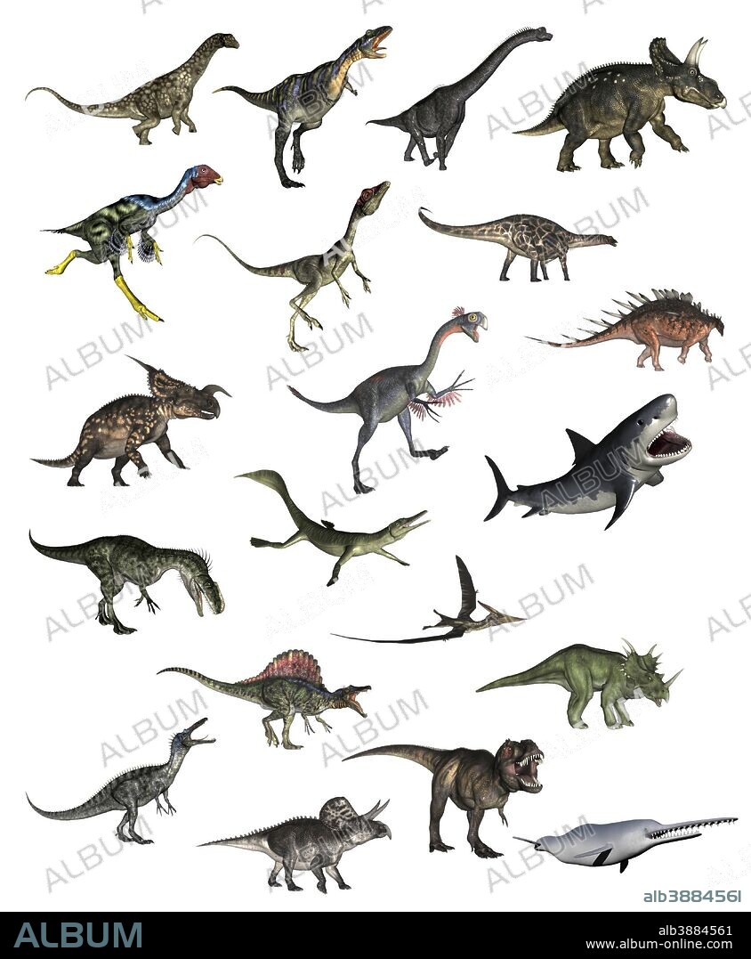 Set of dinosaurs in white background.