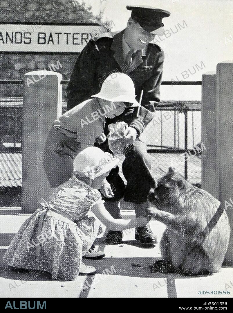 Prince Charles and Princess Anne with a Gibraltar Ape during the visit to the colony, by their parents Queen Elizabeth II and Prince Phillip. 1954.