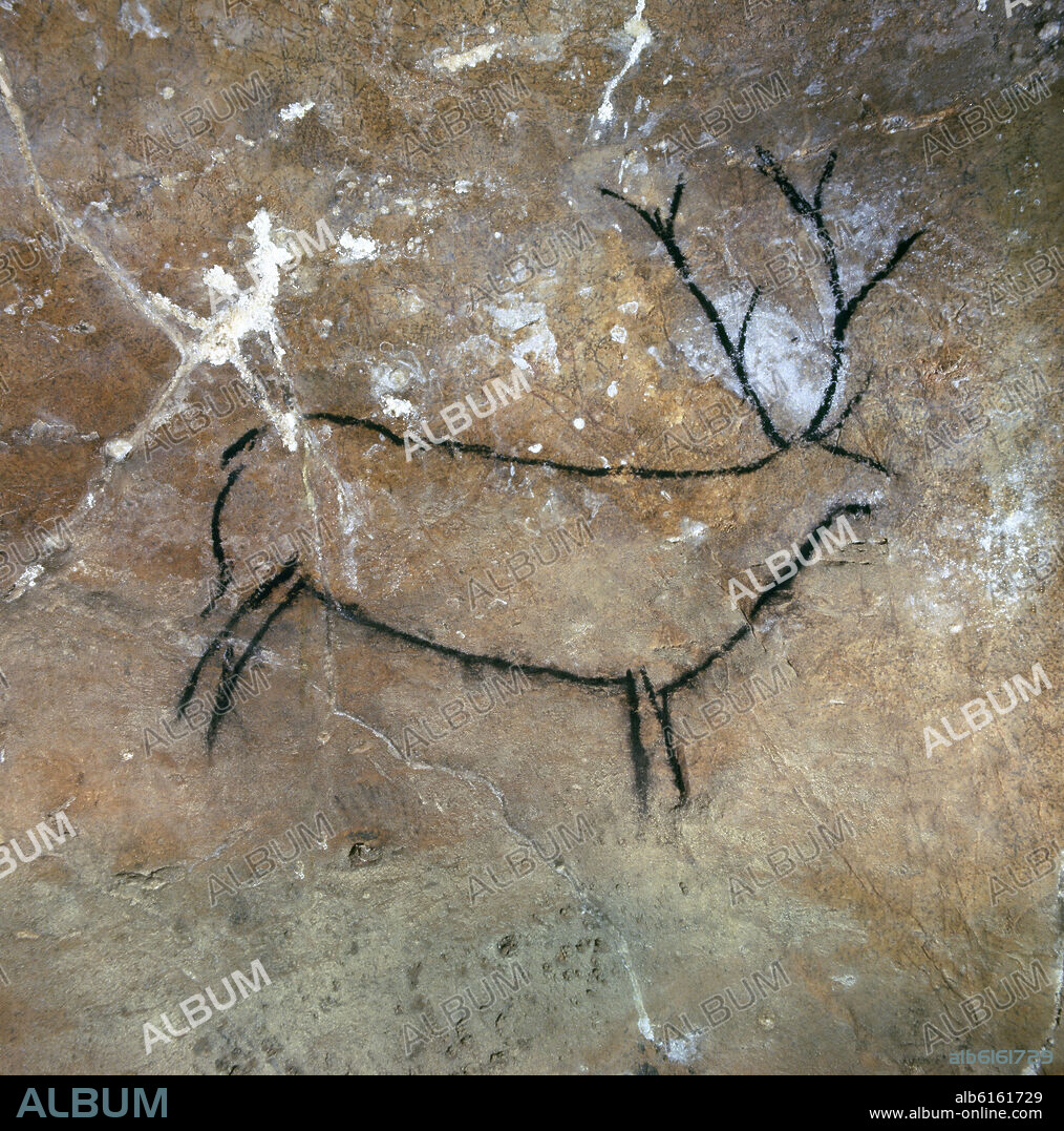DIBUJO DE CIERVO O RENO PINTADO EN NEGRO SOBRE LA ROCA HACE UNOS 20000 AÑOS - PALEOLITICO SUPERIOR.