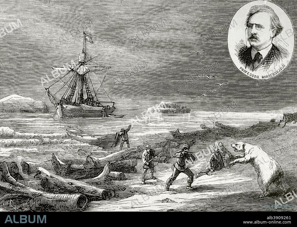 Swedish expedition to Arctic Pole. "Proven" crew members attacked by a polar bear. Professor Nordenskišld led the expedition. In 1875, aboard the "Proven" sailing yacht, Adolf Erik Nordenskišld (1832-1901) sailed across the Kara Sea to the mouth of the river Yenisei, from where he returned to Sweden through St. Petersburg, while Kjellmann, one of his companions, arrived at the Norwegian port of Hammerfest aboard the "Proven" . Engraving. La Ilustracion Espa–ola y Americana, March 8, 1876.