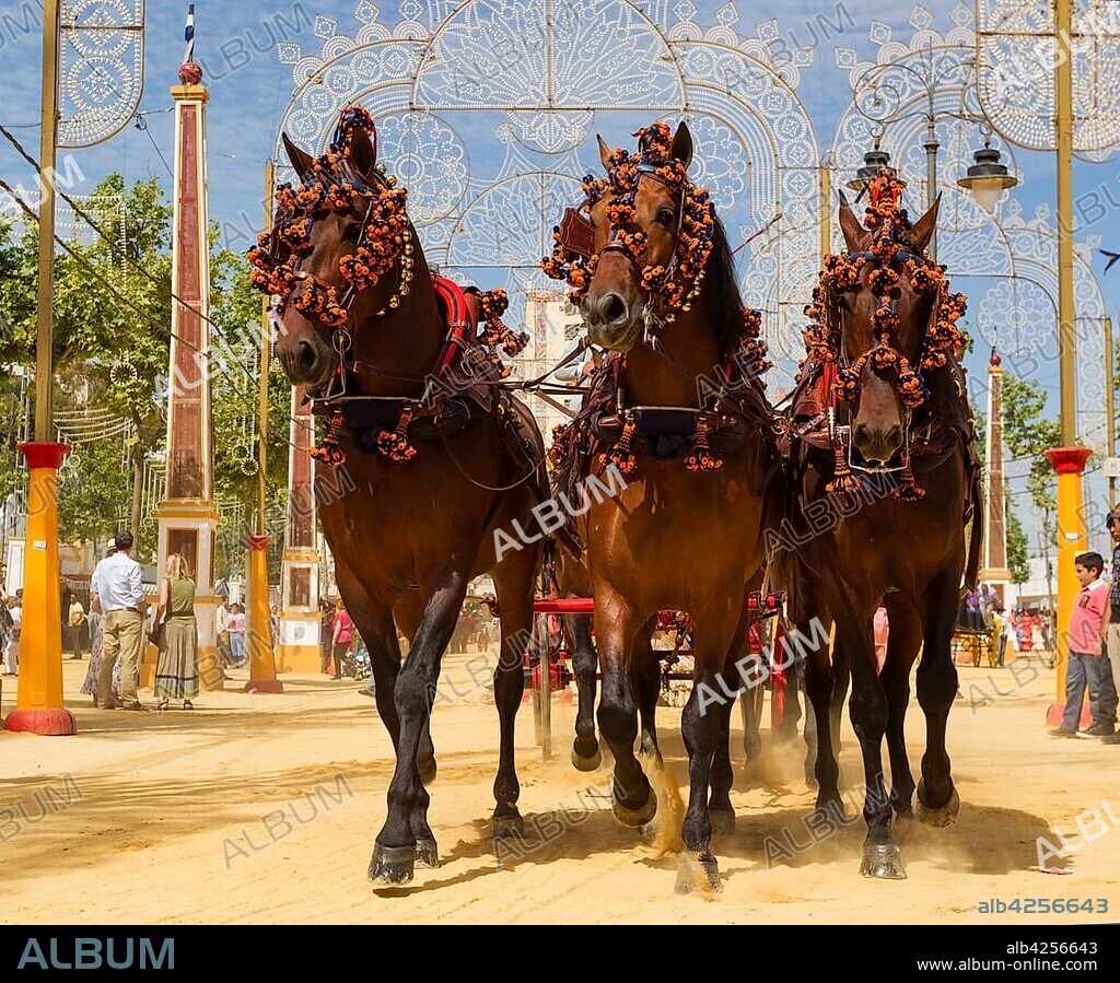 Decorated horses at the Feria del Caballo Horse Fair, Jerez de la Frontera, Cádiz province, Andalusia, Spain