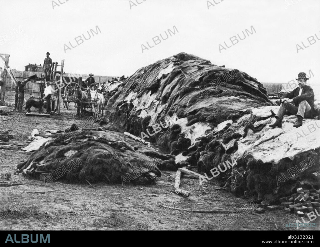 Dodge City, Kansas:  1878 Charles Rath, buffalo hunter and frontiersman, sits on a pile of 40,000 buffalo hide in Robert Wright's hide yard.