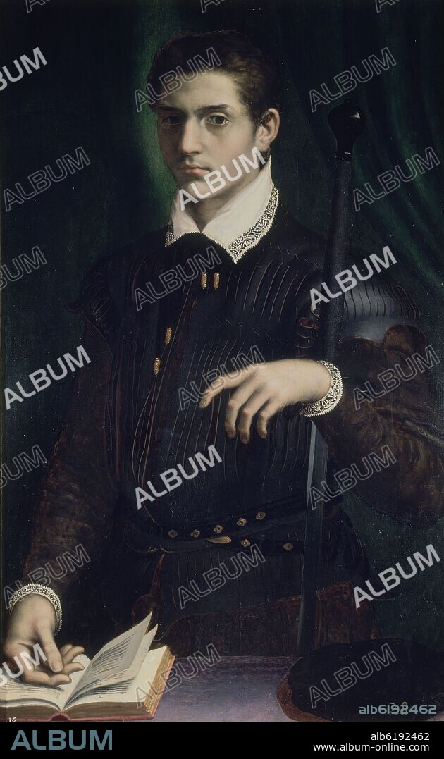 DANIELE DA VOLTERRA. 'Portrait of a Gentleman', 1550-1555, Oil on panel, 101 cm x 64 cm, P00069.