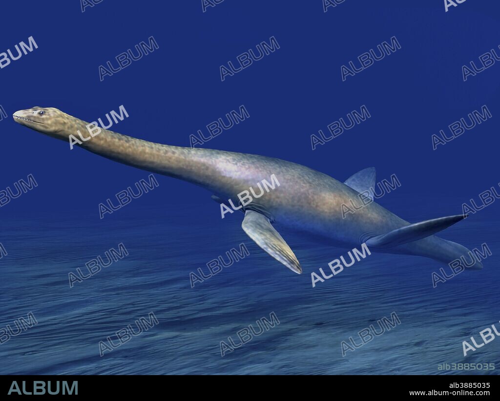 Cryptoclidus eurymerus is an extinct plesiosaur from the Late Jurassic of England.