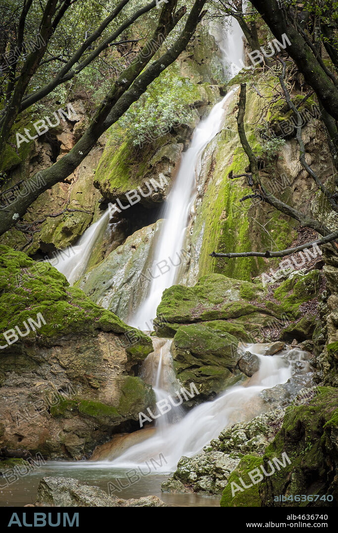 Salt des Freu waterfall, Torrent de Coanegra, Orient, Bunyola, Mallorca, Balearic Islands, Spain.